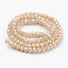 Electroplate Glass Beads Strands GLAA-K027-FR-B01-2