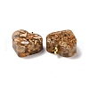 Transparent Resin Natural Imperial Jasper Dyed Chips Pendants G-E185-12G-04-3