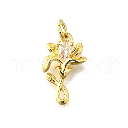 Brass Micro Pave Cubic Zirconia Pendants KK-Z102-04G-02-1