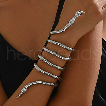 European & American Style Snake Shape Iron Bangles for Women AW9672-2-1