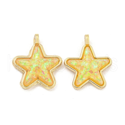 Translucent Resin Pendants KK-M291-24F-1