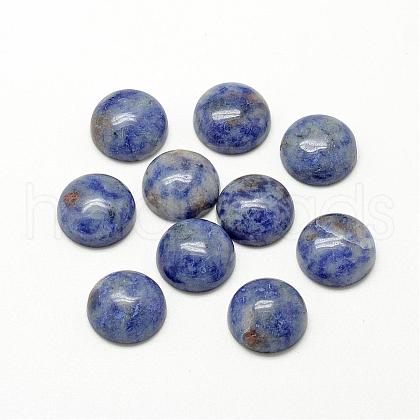 Natural Blue Spot Jasper Cabochons G-R416-14mm-45-1