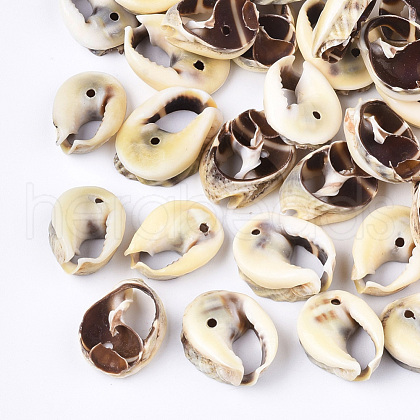 Spiral Shell Beads SSHEL-T008-25-1