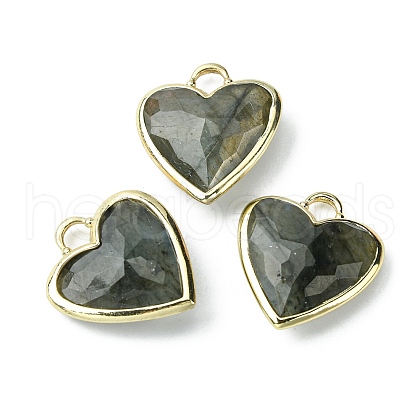 Natural Labradorite Pendants G-O204-01D-1