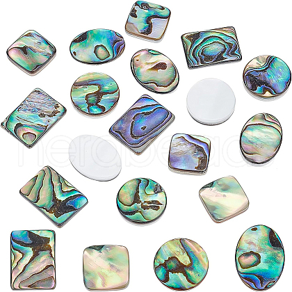 BENECREAT 16Pcs 4 Style Natural Shell Cabochons SSHEL-BC0001-23-1