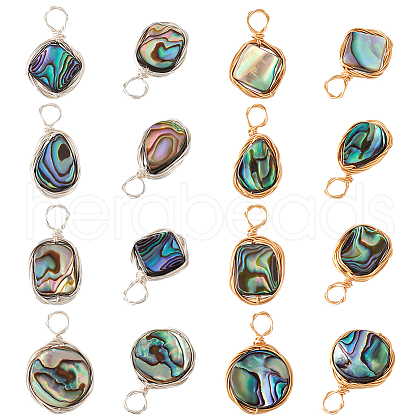  16Pcs 8 Styles Natural Abalone Shell/Paua Shell Pendants FIND-PH0008-89-1