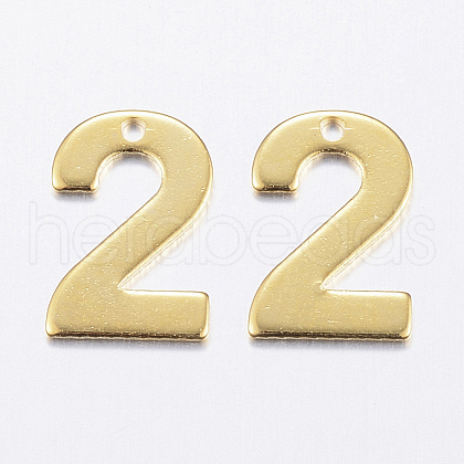 201 Stainless Steel Charms X-STAS-P140-G2-1