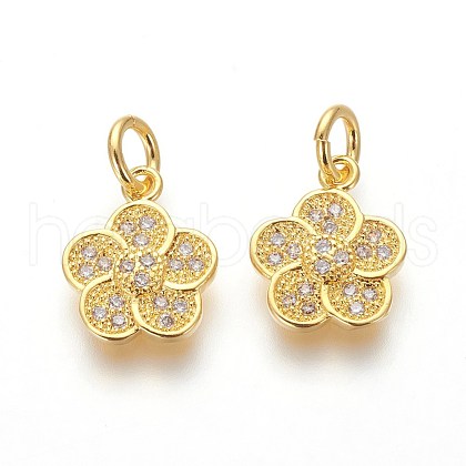 Brass Micro Pave Cubic Zirconia Charms ZIRC-J021-17G-RS-1