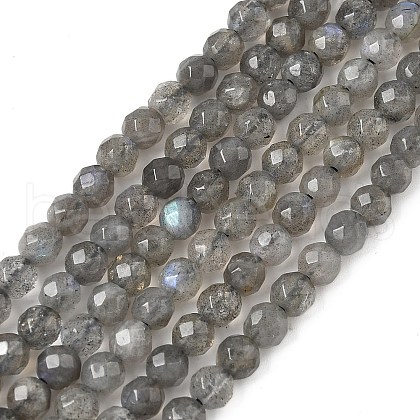 Natural Labradorite Beads Strands G-G213-4mm-03-1