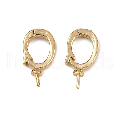 Oval Brass Twister Clasps KK-P310-06G-1