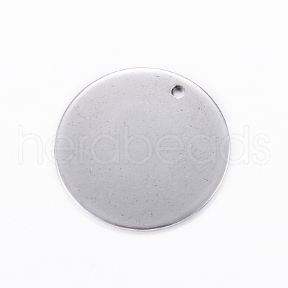 304 Stainless Steel Charms STAS-D445-059-1