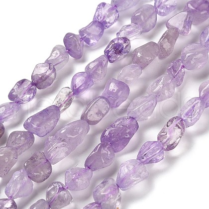 Natural Amethyst Beads Strands G-P497-01E-21-1
