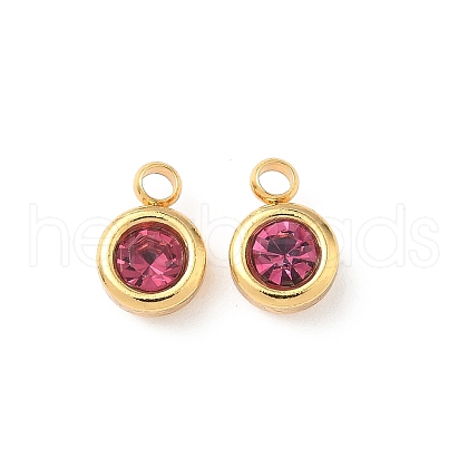 304 Stainless Steel Charms STAS-Z115-01G-10-1
