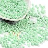 Baking Paint Glass Seed Beads X1-SEED-A032-02R-1