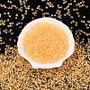 6/0 Inside Colours Transparent Glass Seed Beads X1-SEED-T007-07F-1