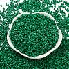 Baking Paint Glass Seed Beads SEED-S042-05A-20-2
