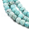 Natural HuBei Turquoise Beads Strands G-G792-38-01-3