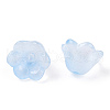 Baking Painted Transparent Glass Bead Caps DGLA-N004-10-3