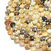 Natural Flower Amazonite Beads Strands G-C116-A72-02-3