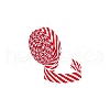 Polyester Twill Striped Piping Ribbon FIND-WH0424-03B-7