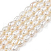 Natural Cultured Freshwater Pearl Beads Strands X-PEAR-N012-04B-3
