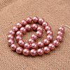 Polished Round Grade A Shell Pearl Bead Strands BSHE-M027-6mm-13-2