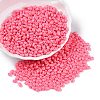 Baking Paint Glass Seed Beads SEED-T006-03P-3