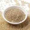 MIYUKI Round Rocailles Beads SEED-X0055-RR0161-2