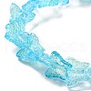 Transparent Glass Beads Strands GLAA-F114-04C-3