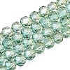 Baking Paint Transparent Glass Beads Strands DGLA-A035-T8mm-A11-1