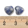 Natural Blue Spot Jasper Cabochons G-H309-01-05-3