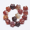 Carved Natural Carnelian Beads Strands G-T122-08E-2
