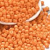 Baking Paint Pearlized Glass Seed Beads SEED-C001-04A-19-1