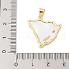 Rack Plating Brass Micro Pave Cubic Zirconia Pendants KK-K293-26G-3