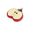 Opaque Resin Pendants RESI-Q020-06A-2