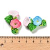 Resin Cabochons CRES-S369-04-3