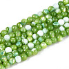 Dyed Natural Trochid Shell/Trochus Shell Beads Strands SSHEL-T017-13C-1