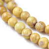 Natural Imperial Jasper Beads Strands G-I248-03B-3