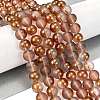 Frosted Transparent Glass Bead Strands GLAA-P065-10mm-13-1