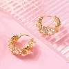 Brass Hoop Earrings EJEW-S249-03G-2