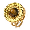 Natural Tiger Eye Finger Rings RJEW-Q822-28G-03-1