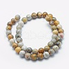 Natural Crazy Lace Agate Beads Strands G-K287-15-8mm-2