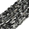 Natural Eagle Eye Stone Beads Strands G-Q060-D06-2