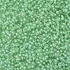 TOHO Round Seed Beads X-SEED-TR11-0975-2