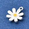 925 Sterling Silver Charms STER-F059-06S-2