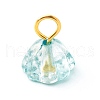 Glass Charms PALLOY-JF00809-2