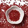 Glass Seed Beads SEED-H002-C-A051-2