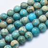 Natural Aqua Terra Jasper Beads Strands G-E444-14A-12mm-1