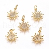 Brass Micro Pave Cubic Zirconia Pendants ZIRC-G166-20G-1