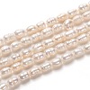 Natural Cultured Freshwater Pearl Beads Strands PEAR-L033-60-1